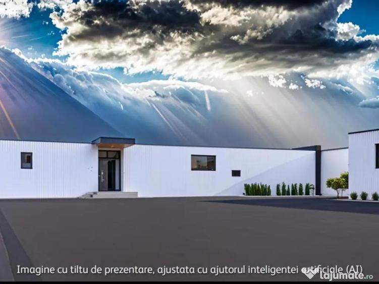 Complex de hale de in zona de Nord - 6