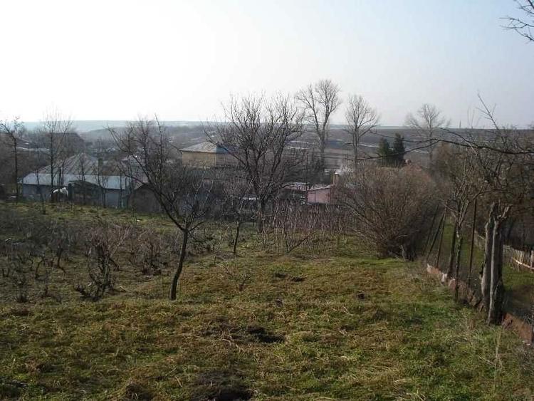 Teren intravilan Calmatuiu de Jos Teleorman - 3