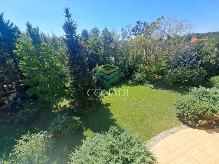 Baneasa-padure, vila de inchiriat, 500 mp utili - 1