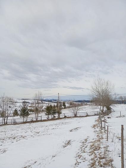 Vand teren intravilan - 7