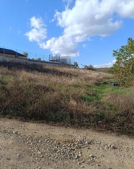 Teren 1000 mp intravilan, Zona Tarpiului - 3