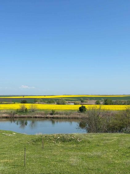 Vand teren Gostilele de 1960 mp intr-o zona linistita de pescuit sportiv - 3