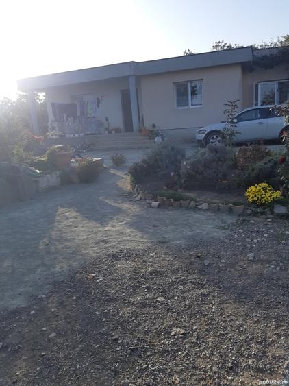 Casa si teren 1750 mp in Nuntasi, Istria - 6