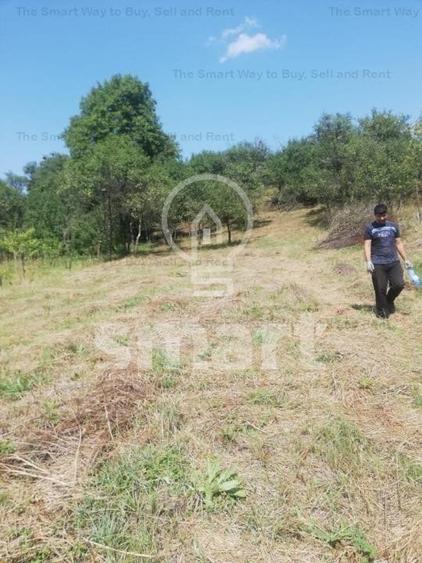 Teren intravilan cu CF 5400mp front 17 Savadisla jud Cluj - 3