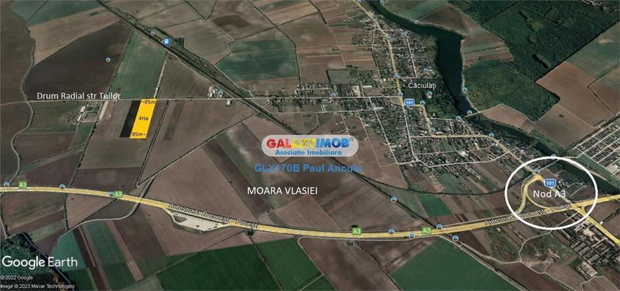 Teren Moara Vlasiei 40000 mp str Drumul Teilor Industrial utilitati - 4