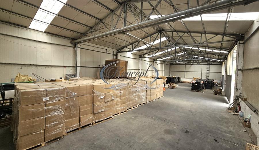 Hale 200-400-1.000 mp, productie, depozitare, logistica - 4