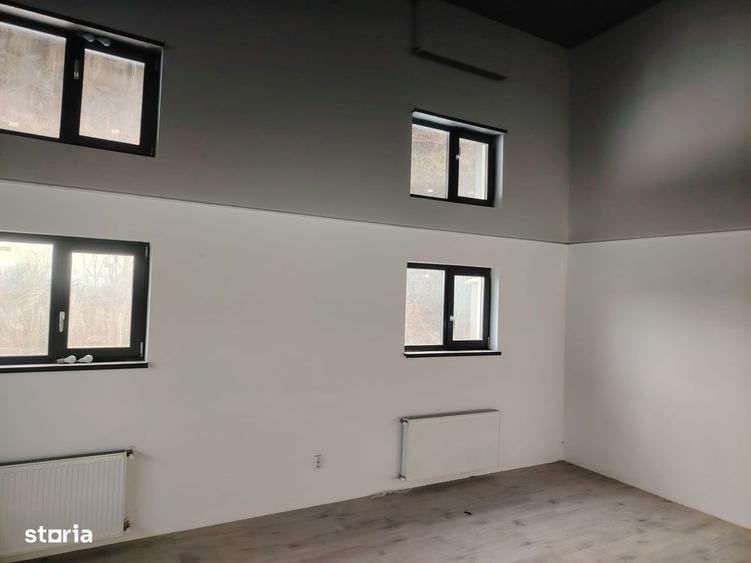 Casa cu 5 camere, doua bai, Bucium str. Grigore T. Popa - 4