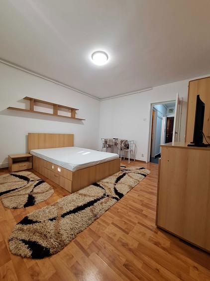 Garsoniera Titan - Constantin Brancusi - 4