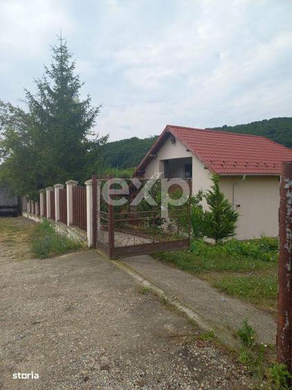 Casa la tara complet mobilata, 5.500 mp teren Toplita, Malureni, A - 9