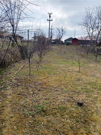 Oportunitate de investitie || teren de vanzare || 933 mp Prahova || - 5