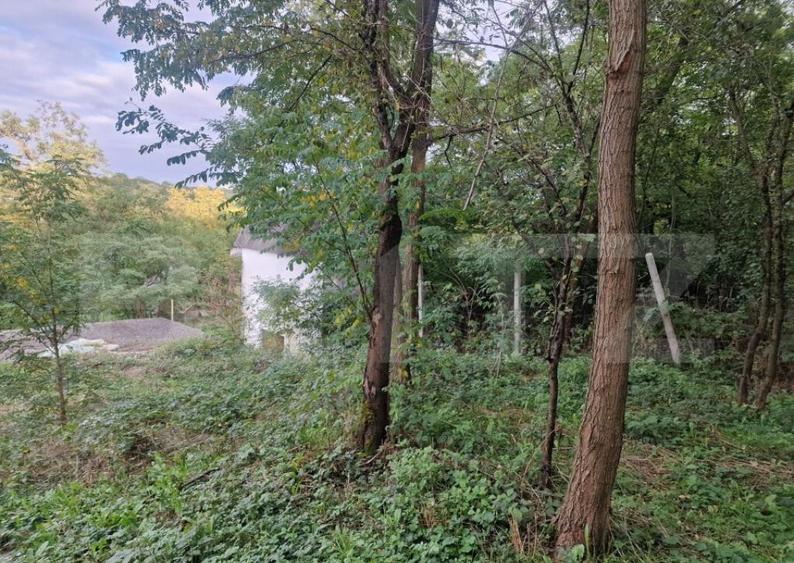 Teren intravilan 7.9 ha. Sandra - 13