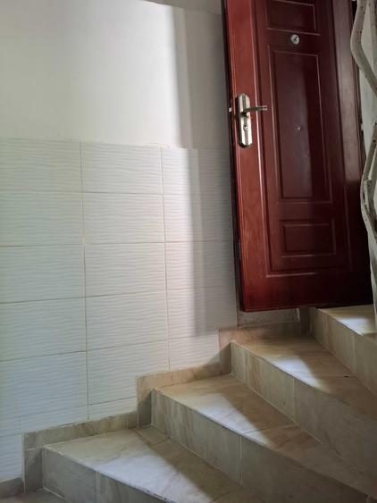 Apartament 3 camere , in Vila, demisol inalt, Zona Unirii - 8