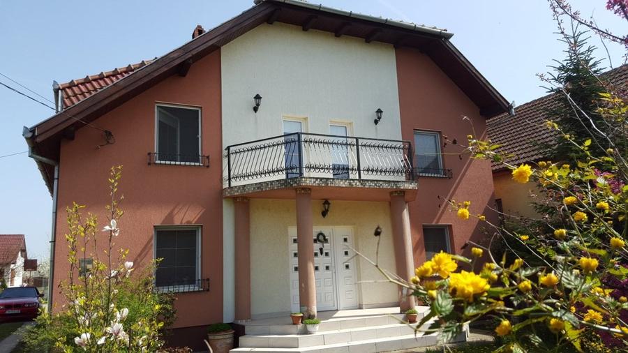 Sanandrei central casa vila 2-3 familii 280 mp-600 mp teren - 9