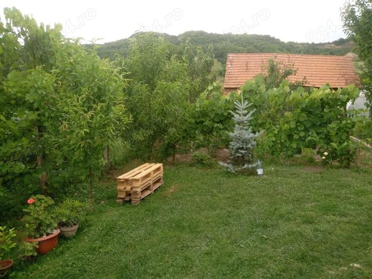 Vand casa in Amna? - 5