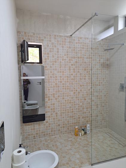 VILA NOUA,MODERNA CU 2100 METRI PATRATI TEREN-VIISOARA - 10