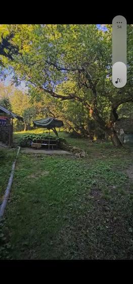 Casa cu teren. Savarsin, Arad - 1