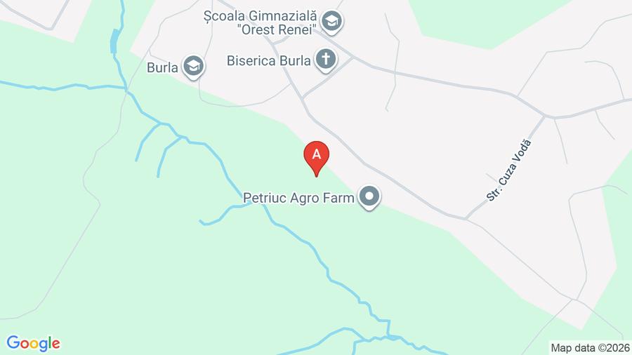 Vand teren intravilan in Burla peste drum de biserica ortodoxa - 1