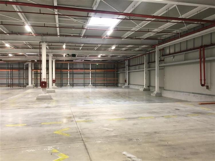 Inchiriere depozit/hala/spatiu industrial Chiajna - A1 - Centura - 6