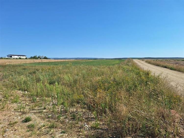 Reco, Teren intravilan Osorhei - 6