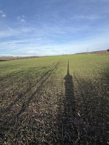 Vand teren Aroneanu 32 mp toate utilitatile la limita de pro - 1