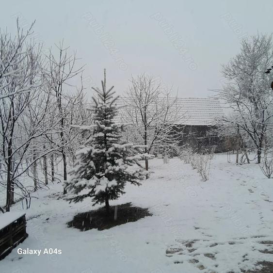 Vand casa in Amna? - 7