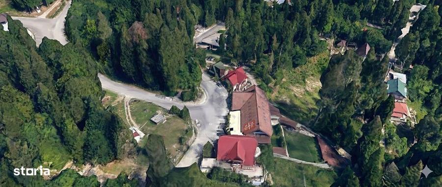 Oportunitate de Investi?ie: Teren 1.814 mp | Calea Codrului, Sinaia - 6
