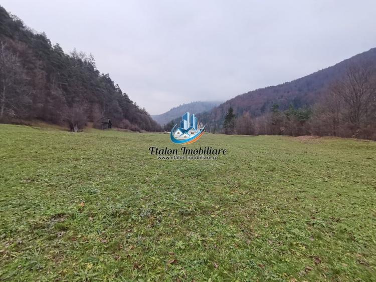 Teren Construcții intravilan de 3560 mp, în Periferie