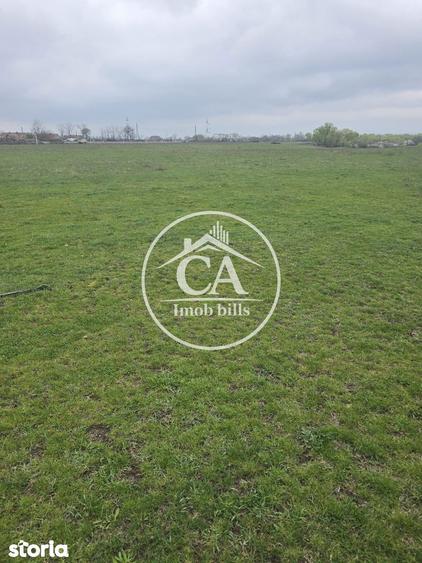 Teren extravilan 150.000 mp de vanzare in Tileagd, Bihor - 4