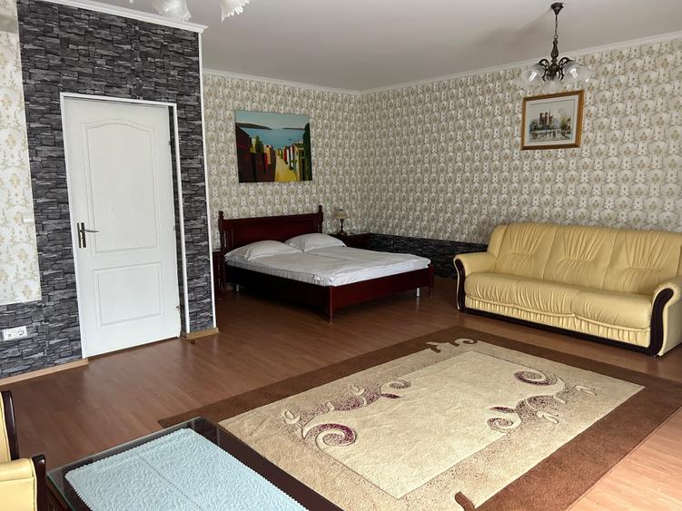 Vand Hotel cu restaurant  si piscina - 9