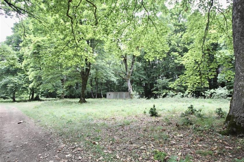 Teren 4713 mp investitie Imobiliara | Poiana Brasov - 4