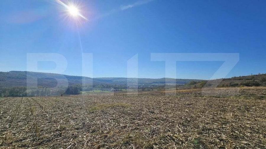 Teren extravilan, 17.000 mp, zona Almasu Mic - 1