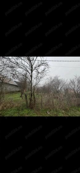 Teren vanzare + constructie 2499 mp electricitate+apa - 7