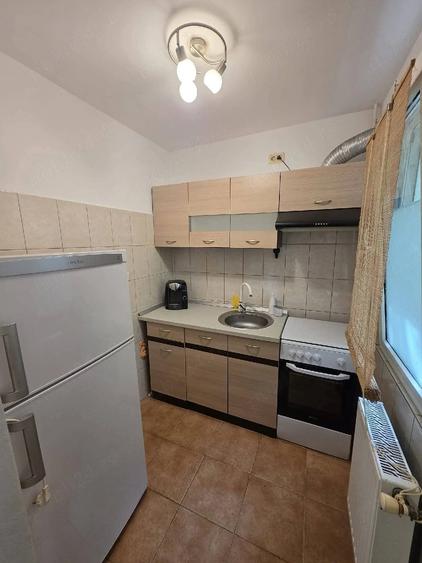 Inchiriez apartament cu 3 camere aproape de Iulius Mall - 4