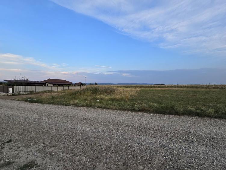 Teren de vanzare - 572 m2 - 5