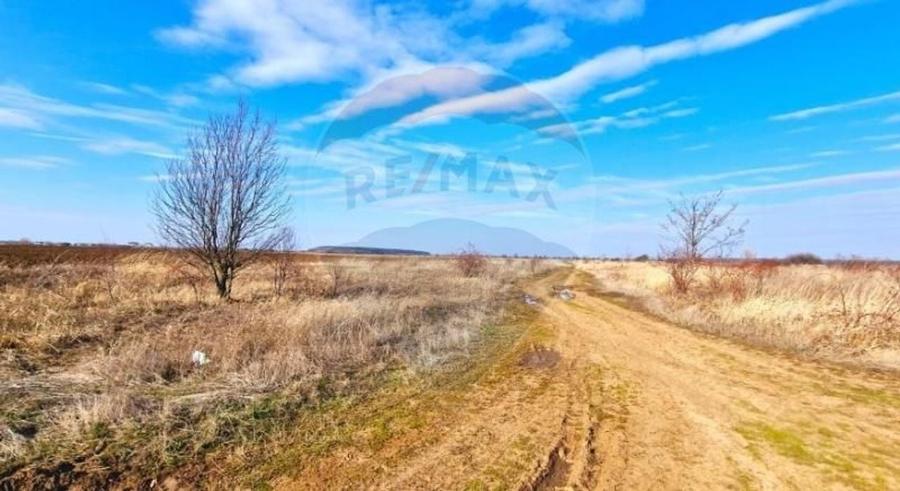 Teren Extravilan la granita cu Intravilanul - Măcheaua-Corbeanca - 4