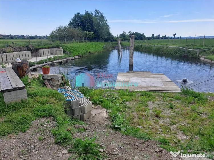 Casă cu 6 camere cu Teren 10000 Mp în Fântâna Mare