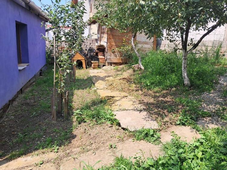 Casa singur in curte in Guserita - 7