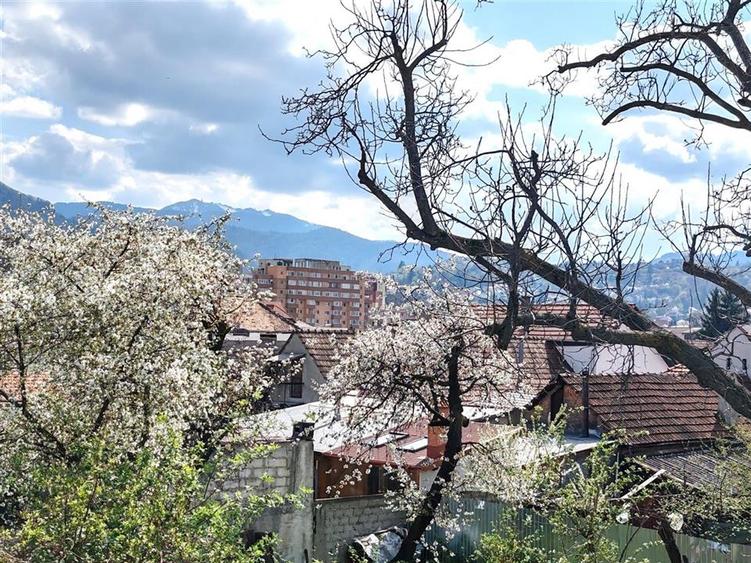 Casa cu 4 camere - Grivitei - 21