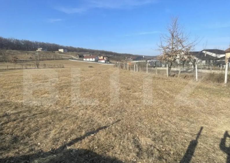 Teren intravilan de vanzare, 742 mp, zona Valea Rusului - 1