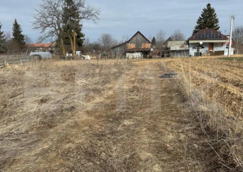 Teren extravilan de vanzare Dangau Mare (dupa Gilau - 1
