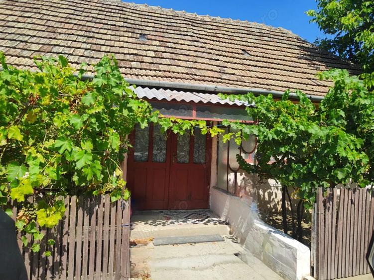 Casa + Curte + Teren arabil generos, Nerau, Teremia Mare, 1596 mp, locuibila imediat - 1