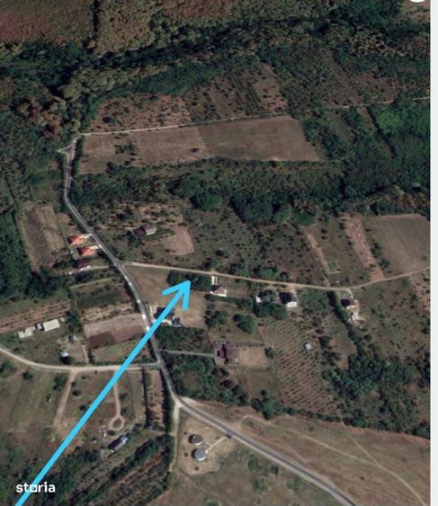 Teren Paulesti Prahova ,str.Retezat ,zona verde,orice activitati - 3