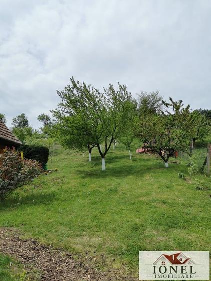 Vanzare casa in Ciugud - Seusa - 9