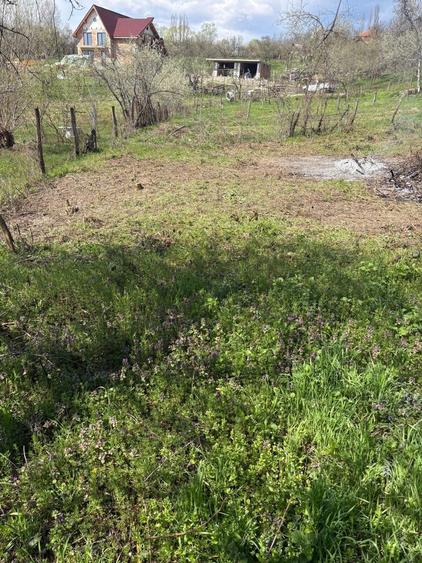 Teren Intravilan Pausesti-Maglasi, jud. Valcea - 2