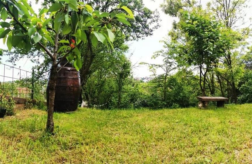 Apartament 2 camere | 65 mp | gradina | Centru | zona Parcul Central - 21