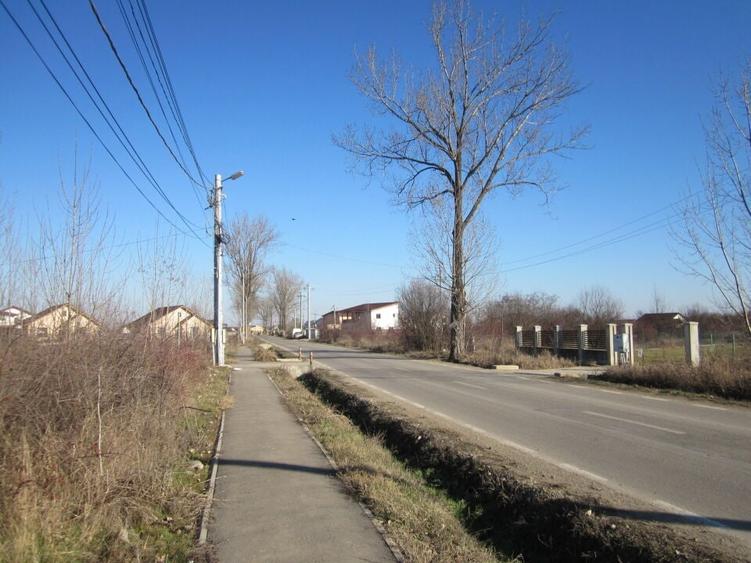 Teghes-Padurarului - 13