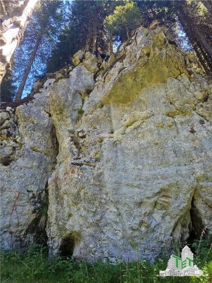 Teren intravilan de vanzare Padina/ Muntii Bucegi - 7