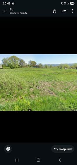 Vand teren intravilan CF. 66354, de 3.278 mp, front stradal de 41,09 m - 3