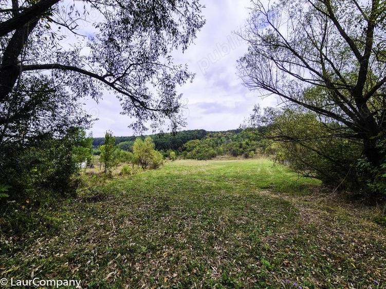 Teren 1,4 hectare Draganu Arges - 3