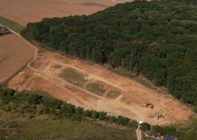 Vand lot teren la padurea Snagov - 6